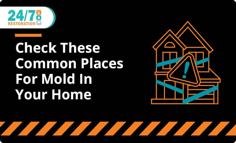 24/7 Restoration - Blog - Check These Common Places For Mold In Your Home